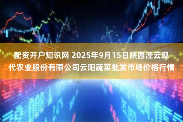 配资开户知识网 2025年9月15日陕西泾云现代农业股份有限公司云阳蔬菜批发市场价格行情