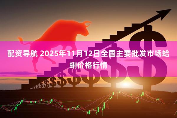 配资导航 2025年11月12日全国主要批发市场蛤蜊价格行情