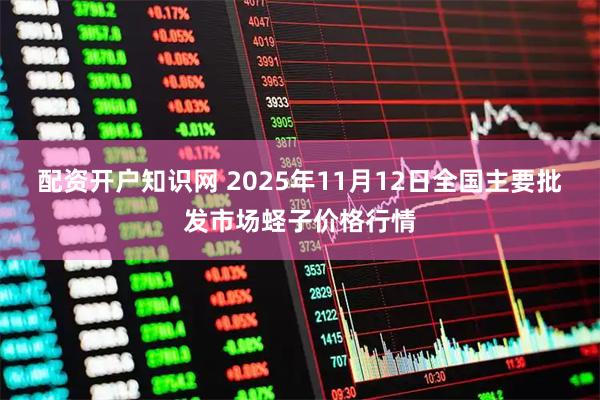 配资开户知识网 2025年11月12日全国主要批发市场蛏子价格行情