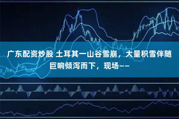 广东配资炒股 土耳其一山谷雪崩，大量积雪伴随巨响倾泻而下，现场——